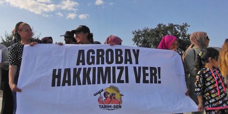 Agrobay İşçileri ve Tarım-Sen Yöneticilerinin Davasında İkinci Duruşma Görüldü